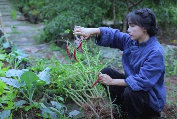 网络图片(侵删)