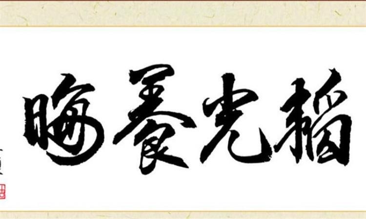网络配图